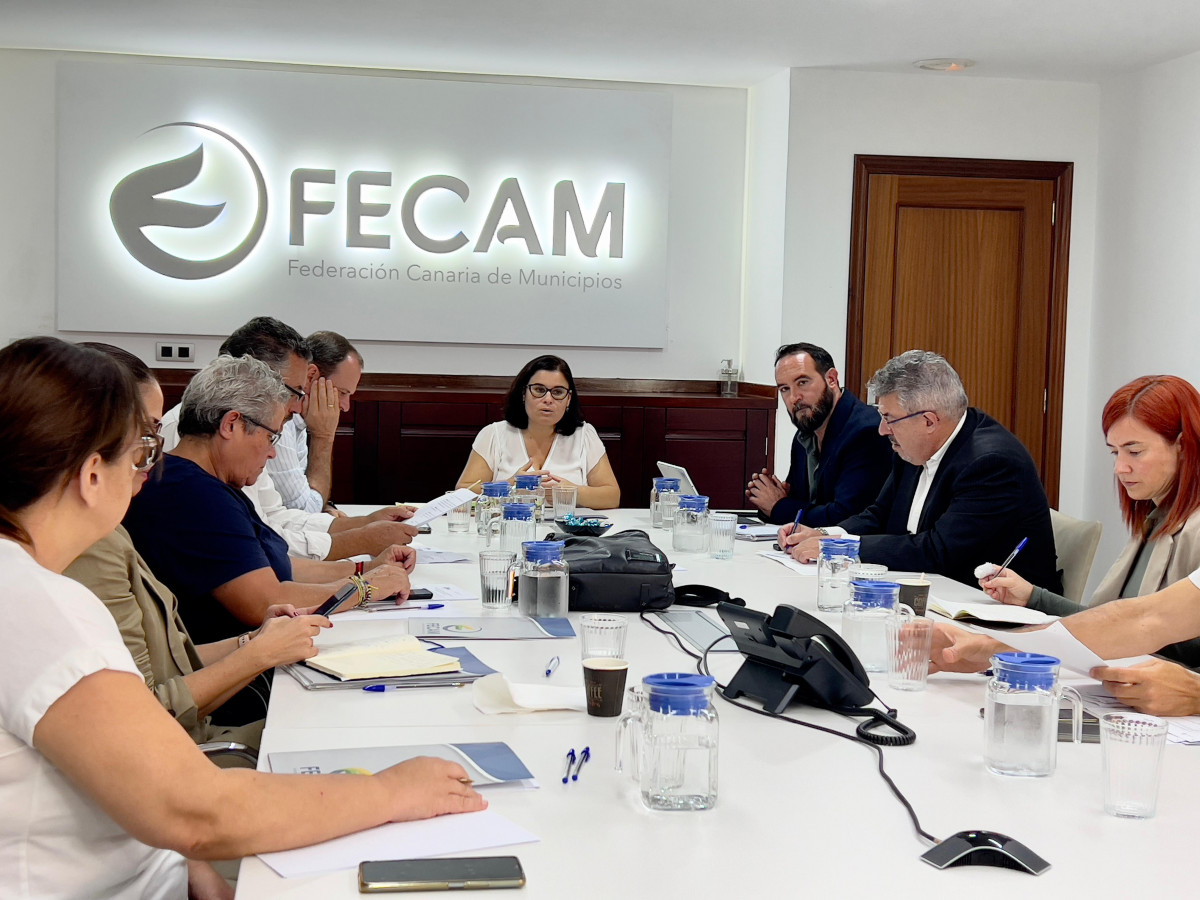 Reuniu00f3n FECAM  Viceconsejeru00eda Cohesiu00f3n Territorial (2)