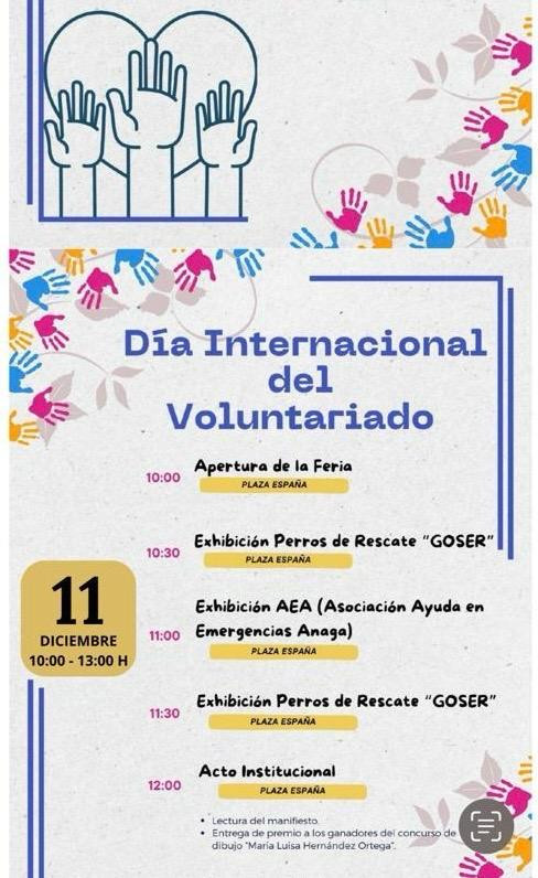 Cartel Voluntariado 11 de diciembre