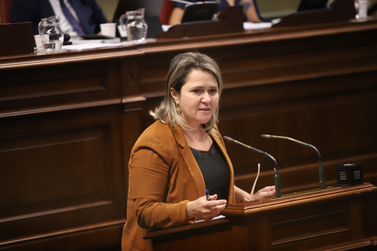 ALICIA VANOOSTENDE Diário Palmero