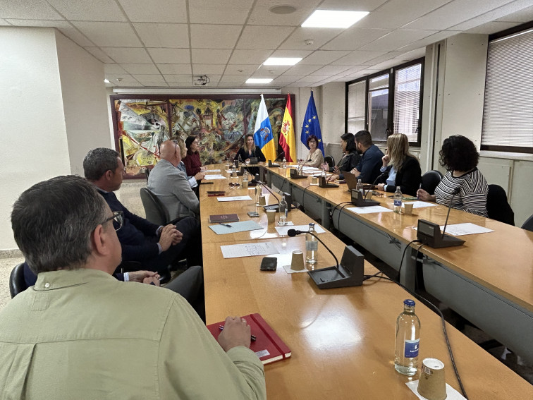 El Gobierno no exigirá a los cabildos la justificación de un mínimo de viajes para recibir la financiación al transporte  1