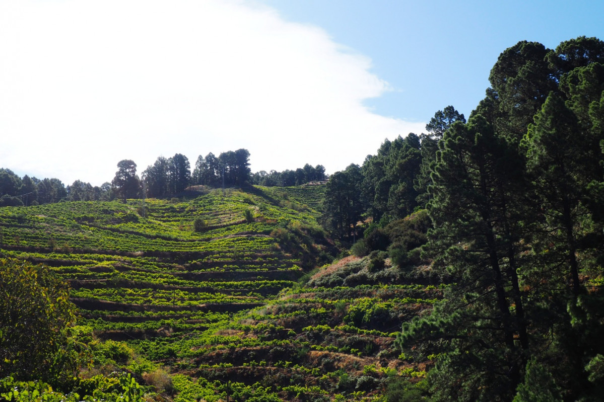 Agroambiente y clima