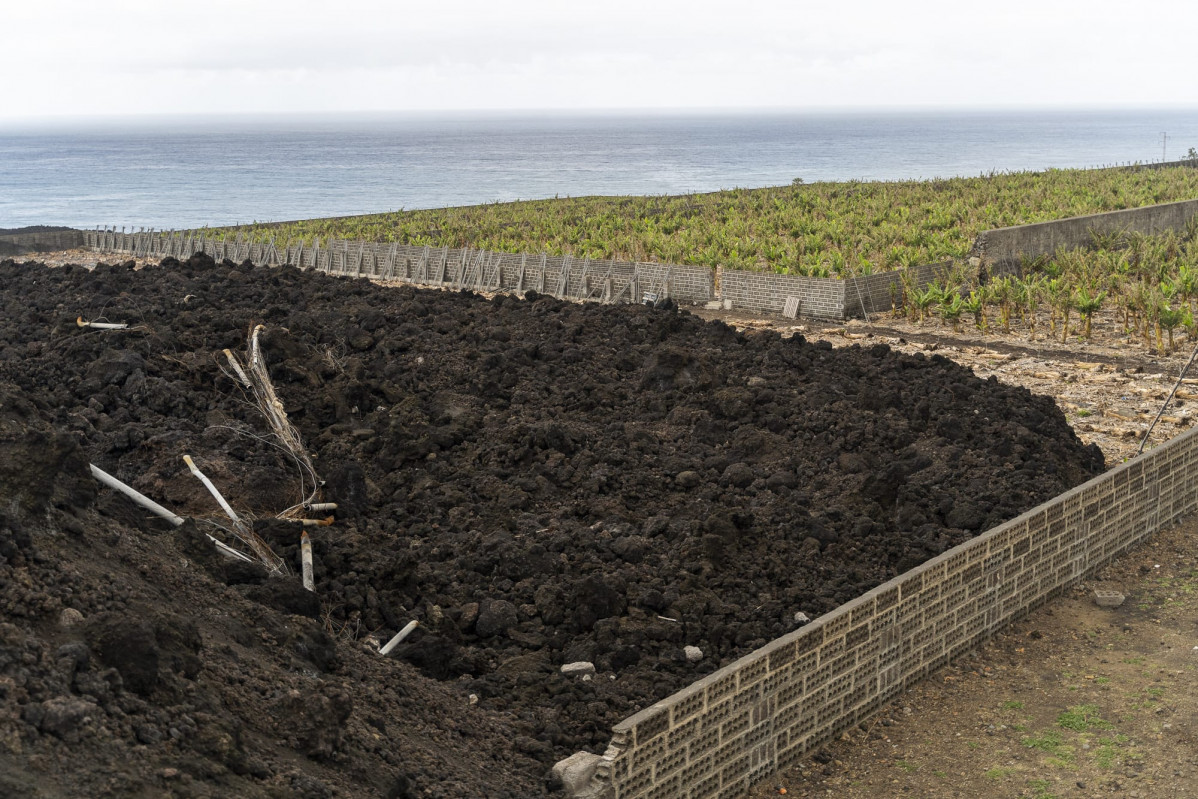 Fincas afectadas por la lava en el Valle de Aridane