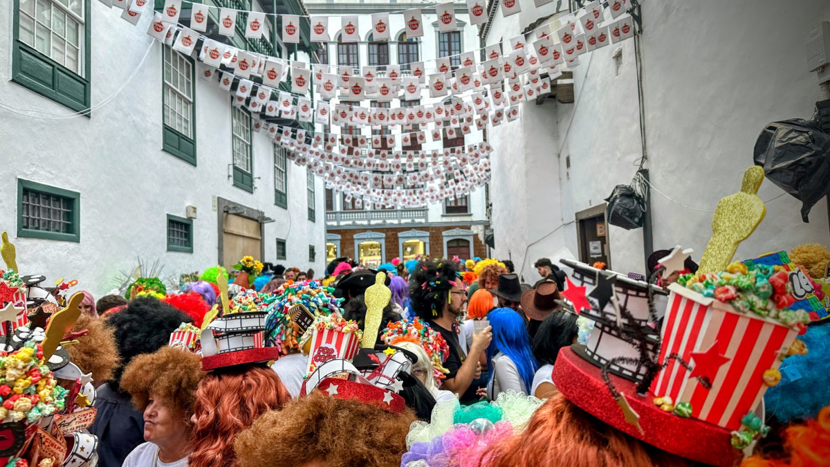 Foto Pelucas de todos los estilos y colores se dieron cita este viernes en Santa Cruz de La Palma