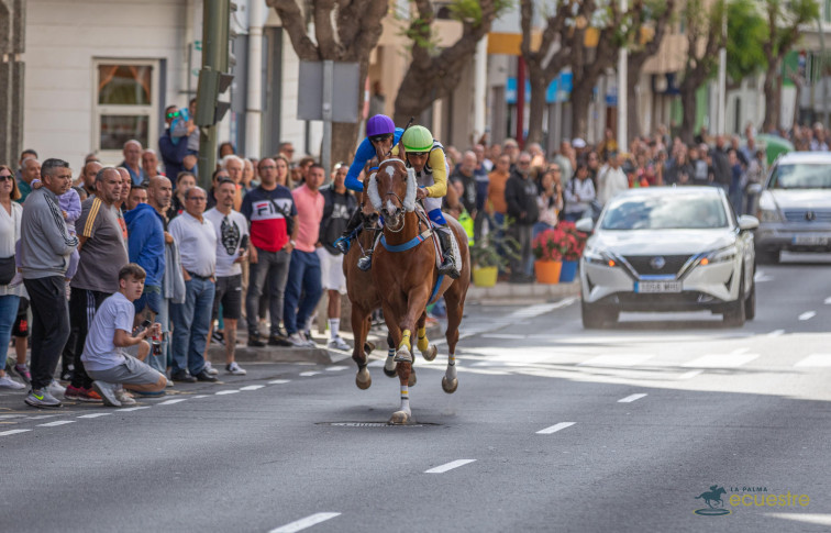La Palma Ecuestre