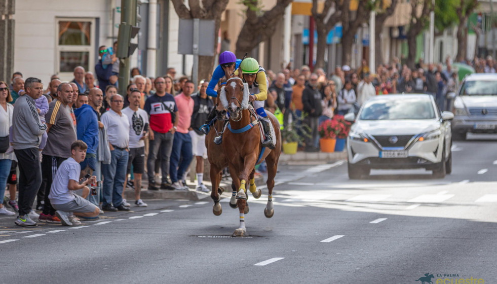 ​Miles de personas muestran su apoyo a las carreras de La Palma Ecuestre