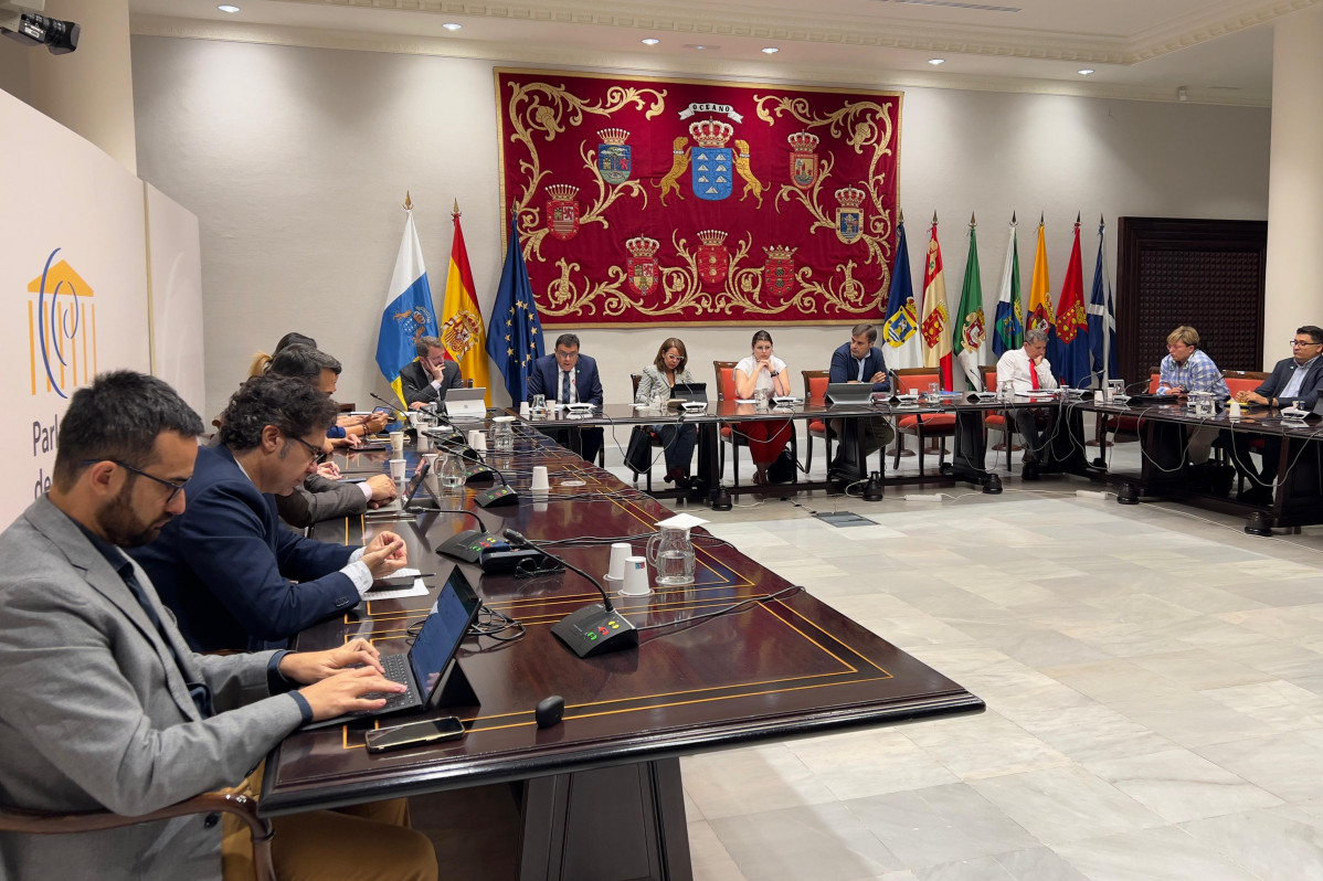reunion Diario Palmero