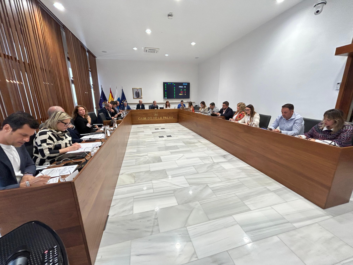 Pleno Diario Palmero 