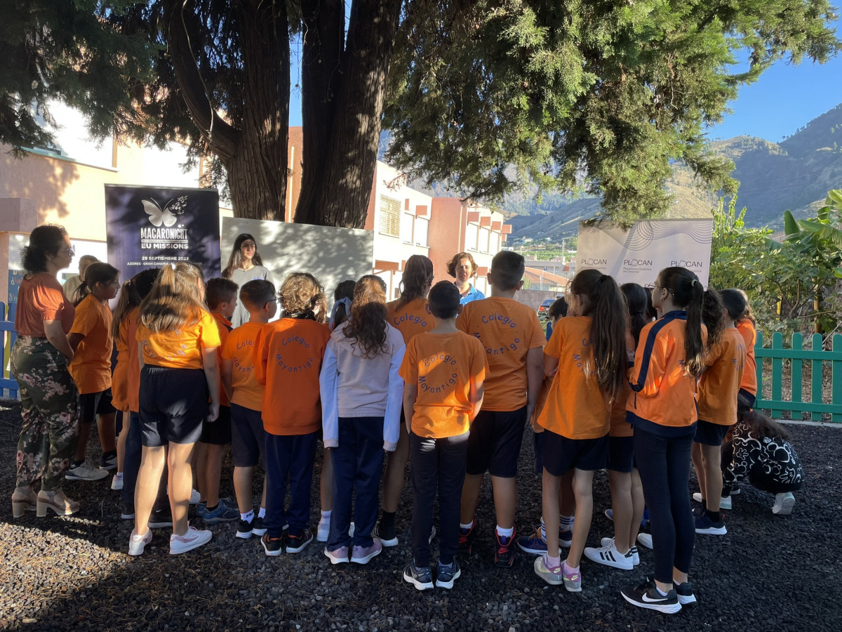 Taller Colegio Mayantigo