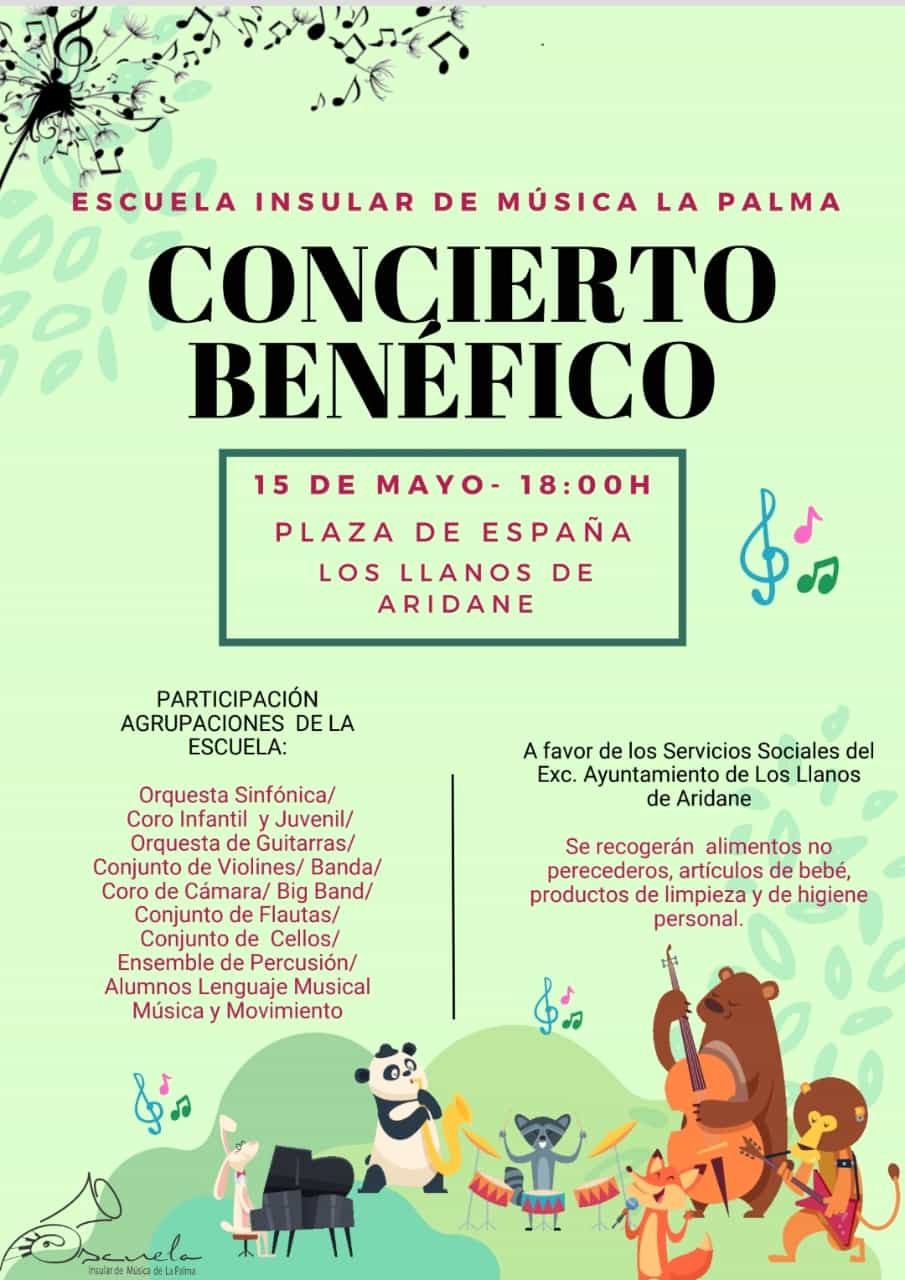 Cartel Concierto Diario Palmero