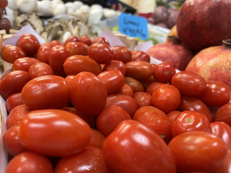 FRUTAS Y HORTALIZAS