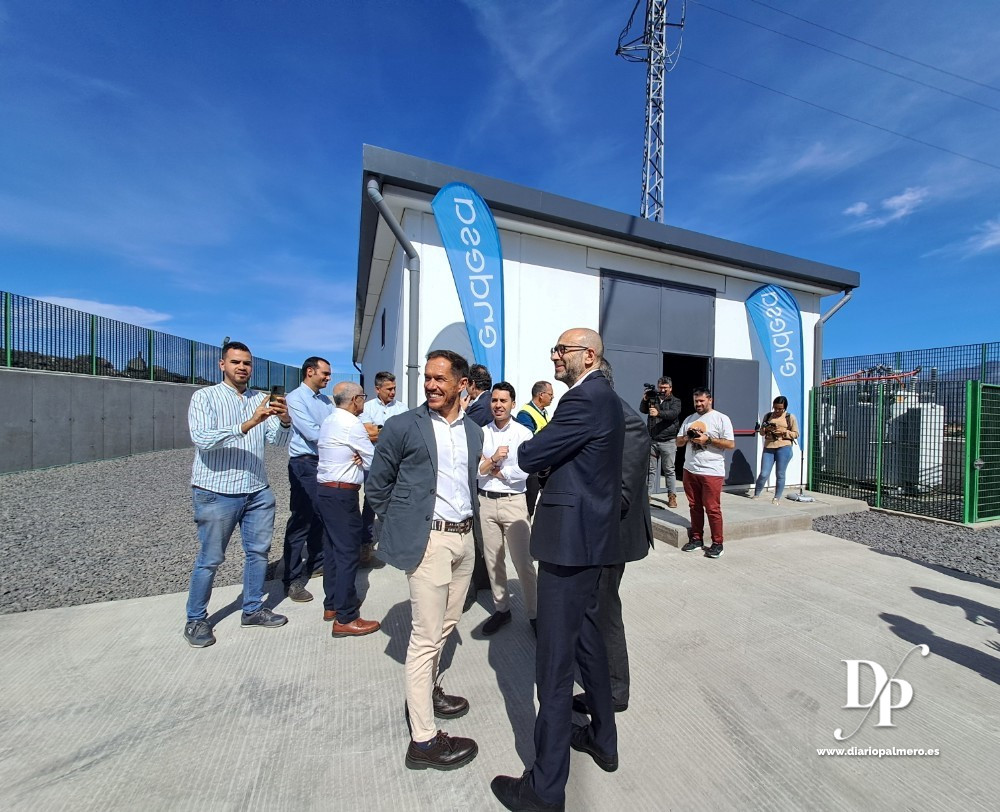 Endesa La Palma Diario Palmero 10