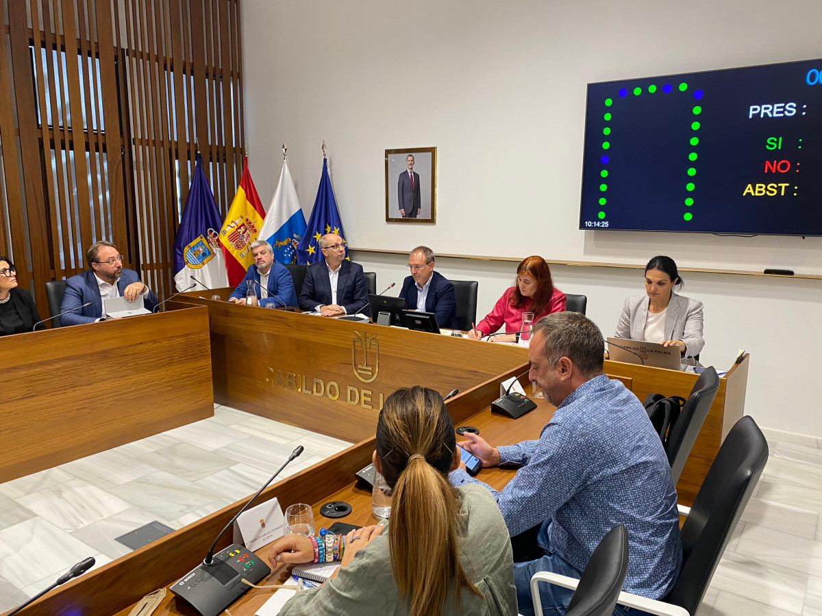 Pleno Cabildo de La Palma Diario Palmero