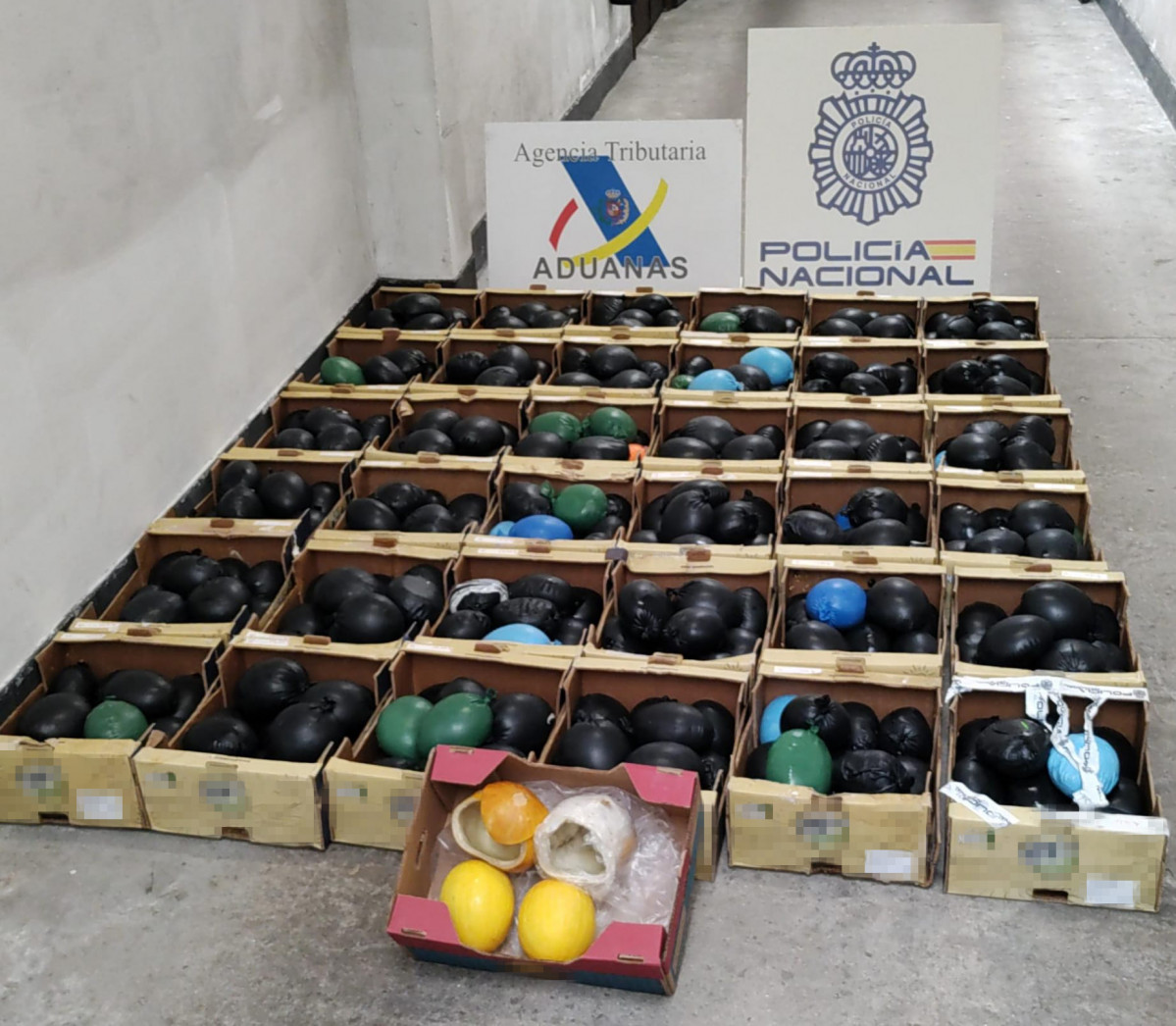 Droga Policia Diario Palmero 