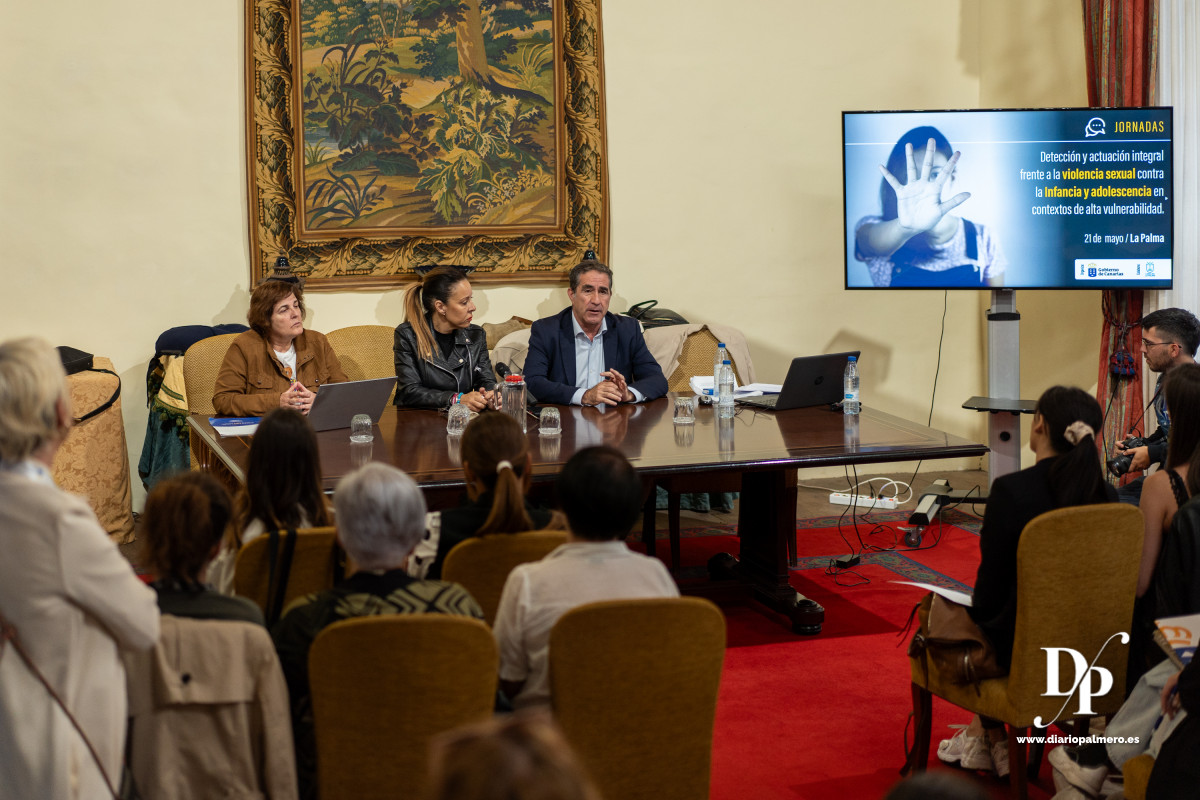 jornadas Violencia Diario Palmero 3