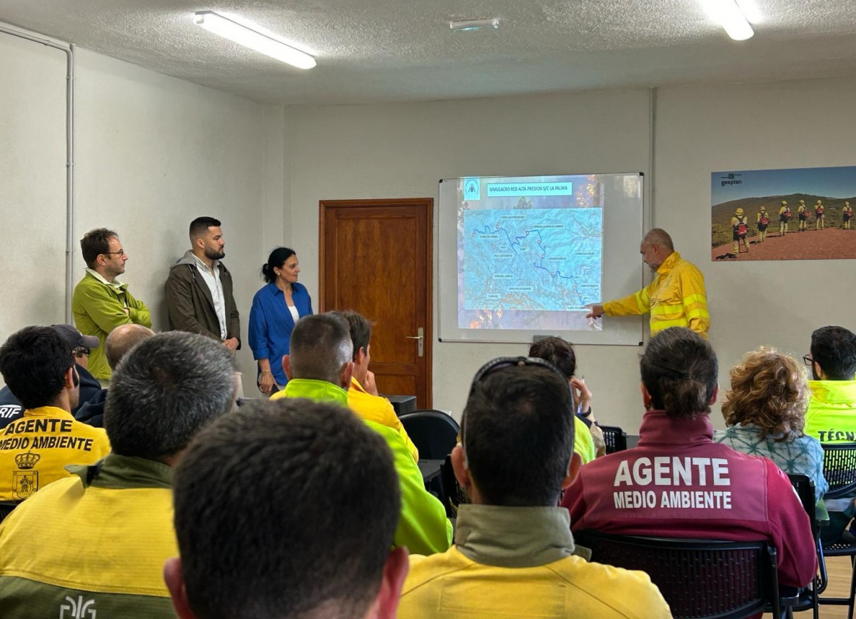 Simulacro LP4 Diario Palmero 