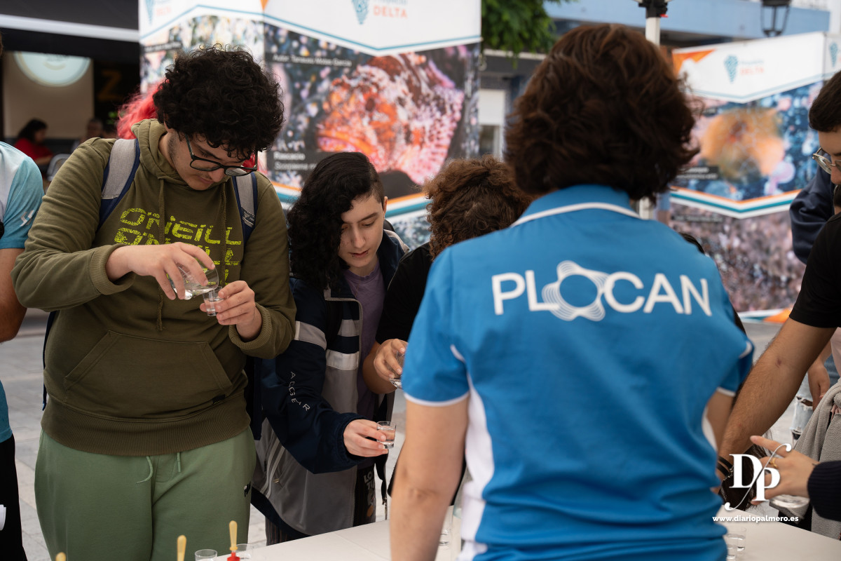 Zapata Plocan 1