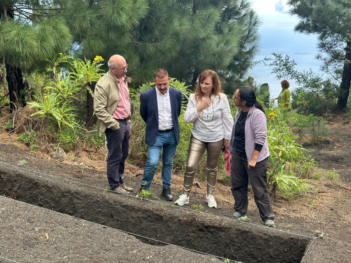 Excavaciu00f3n en La Palma