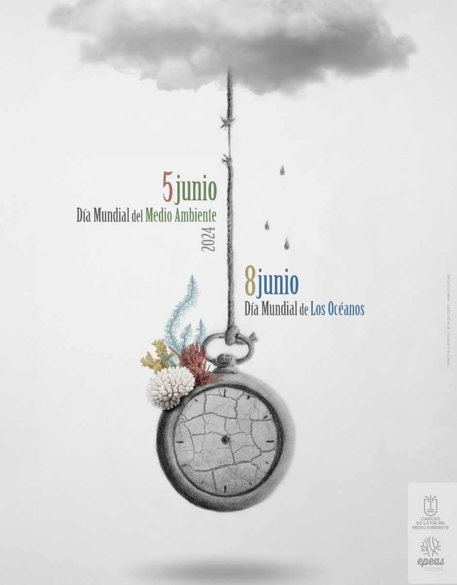 Medio Ambiente Diario Palmero 