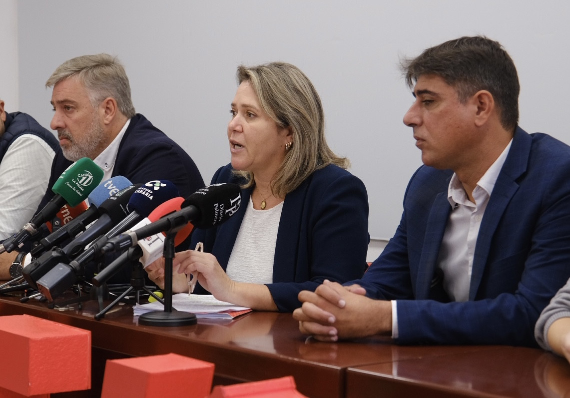 PSOE Diario Palmero