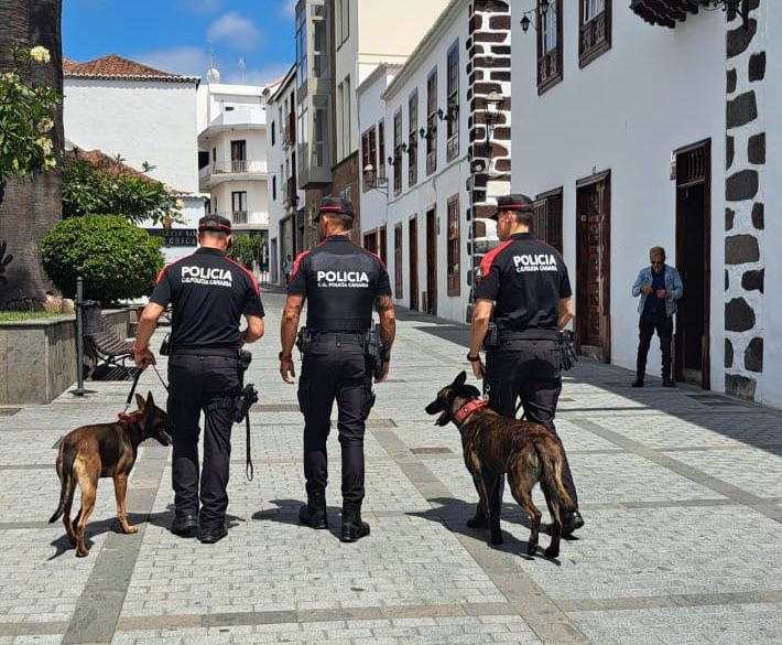 Policu00eda Autonu00f3mica La Palma