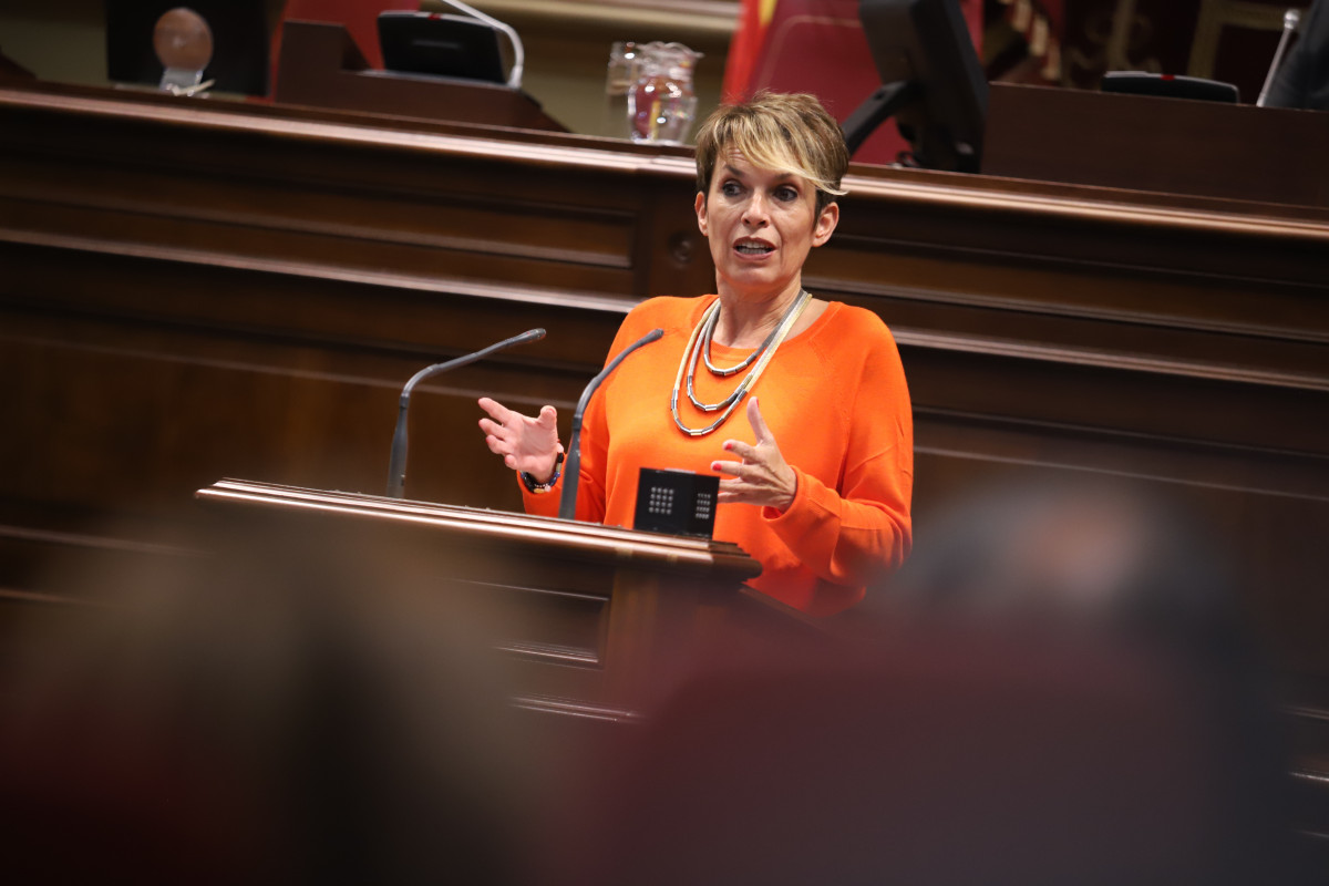 Elena Mañez Diario Palmero 