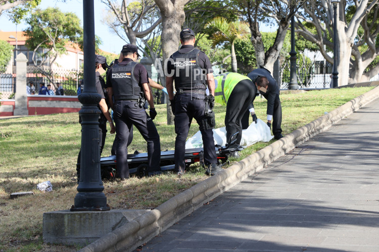 Fallecido Diario Palmero 