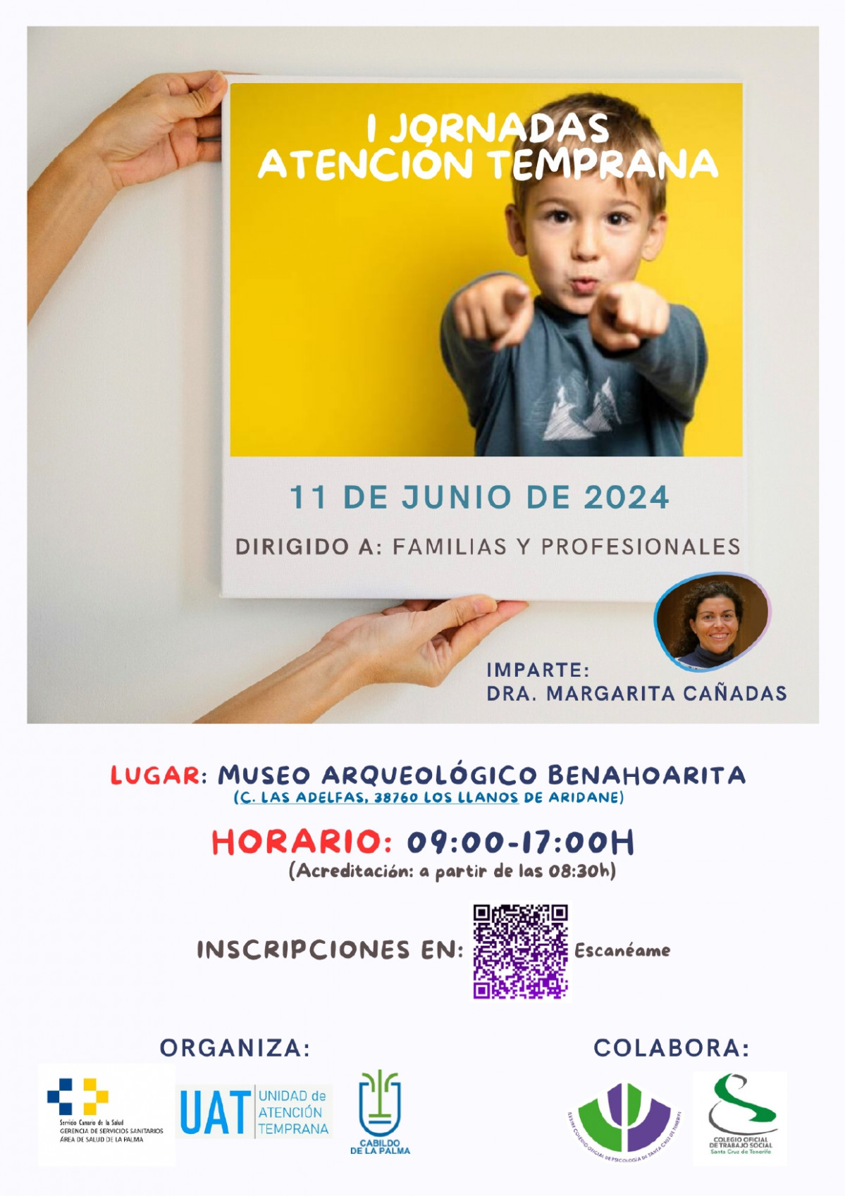 Cartel Diario Palmero 