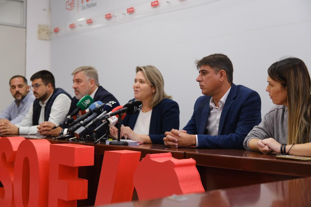 Psoe Diario Palmero 