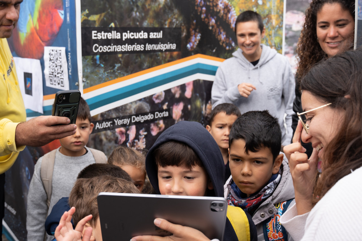 Plocan fuencaliente Diario Palmero 
