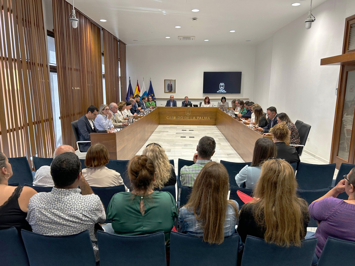 Pleno Ordinario 07062024
