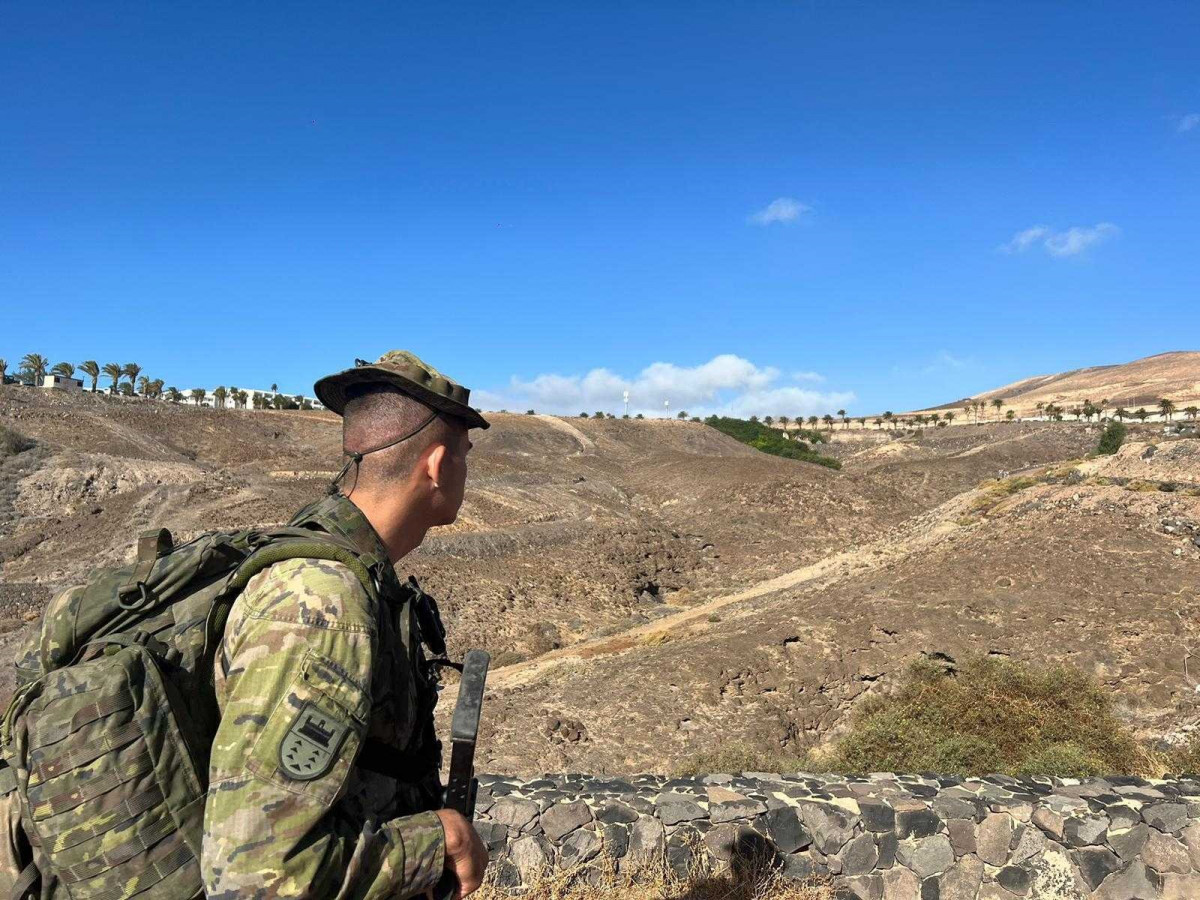 Ejercito Diario Palmero