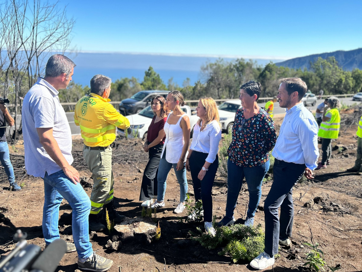 Visita zona incendiadas Tenerife Diario Palmero 
