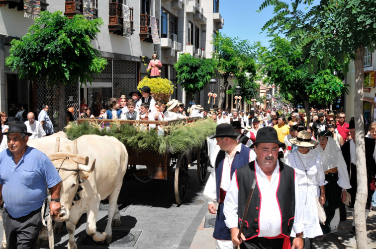 Carros romería