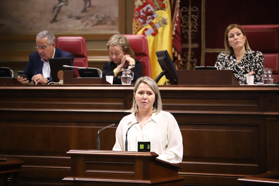 Alicia Diario Palmero 