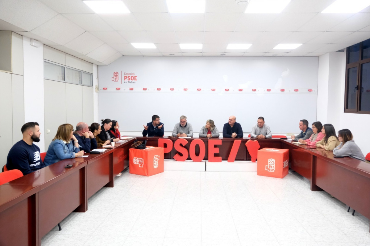 PSOE Diario Palmero