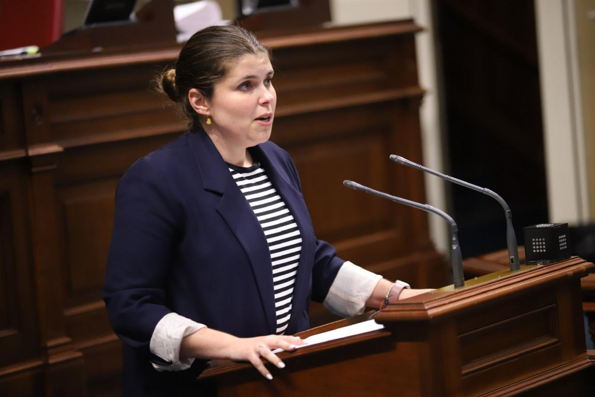Diana Lorenzo Diario Palmero
