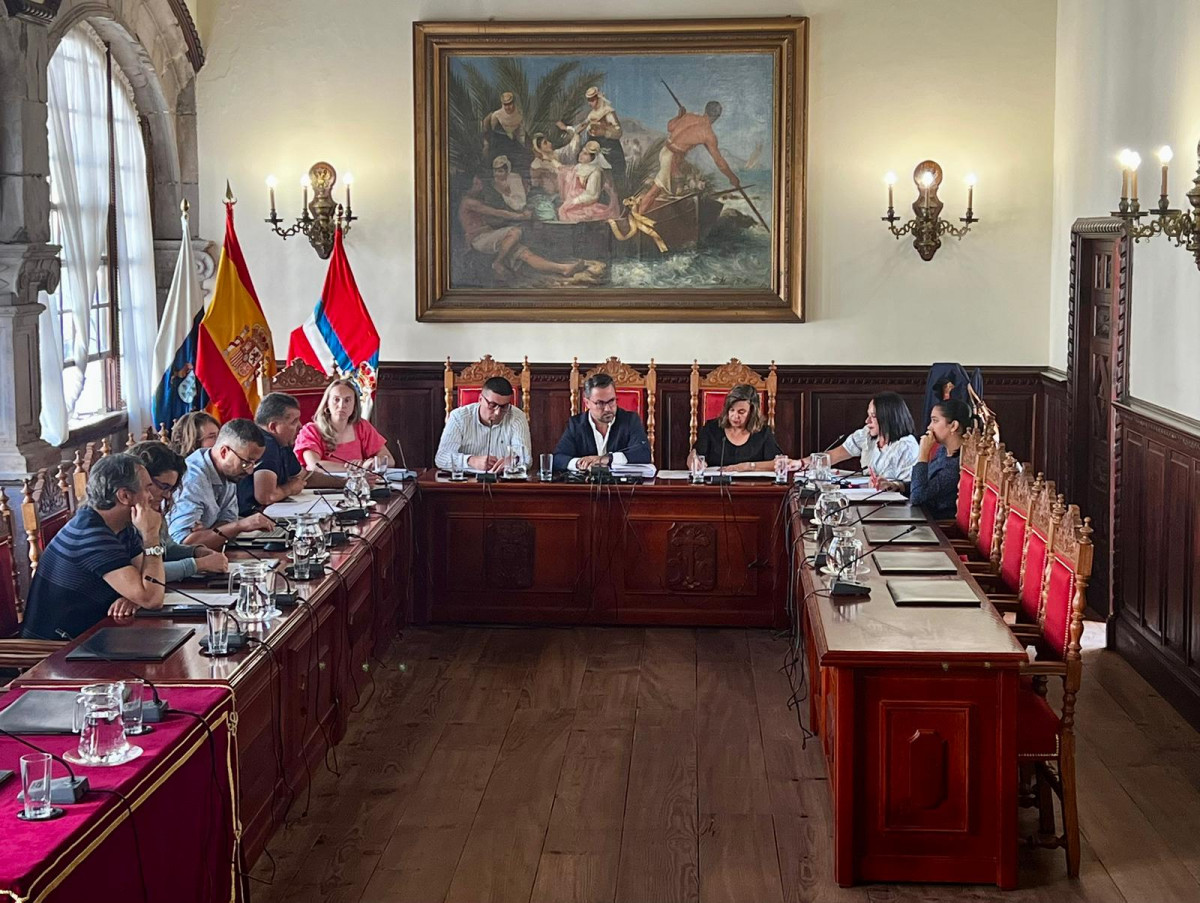 Foto sesiu00f3n plenaria SC La Palma Diario Palmero 