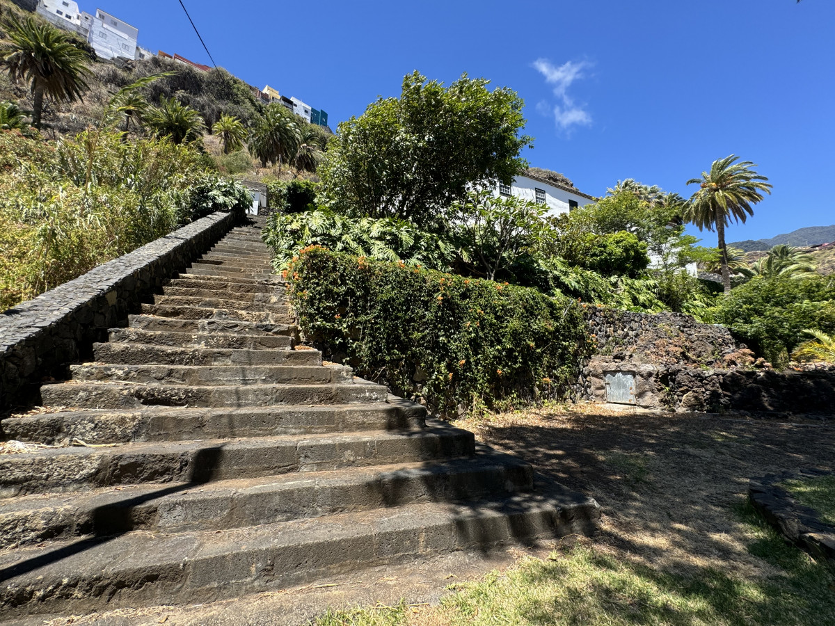 Quinta Verde Diário Palmero