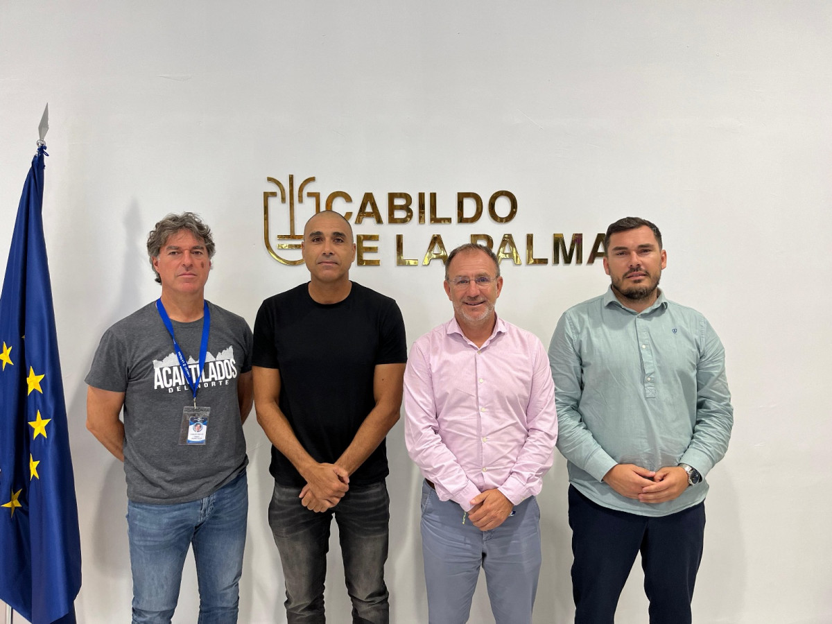 Proyecto Vela Diario Palmero