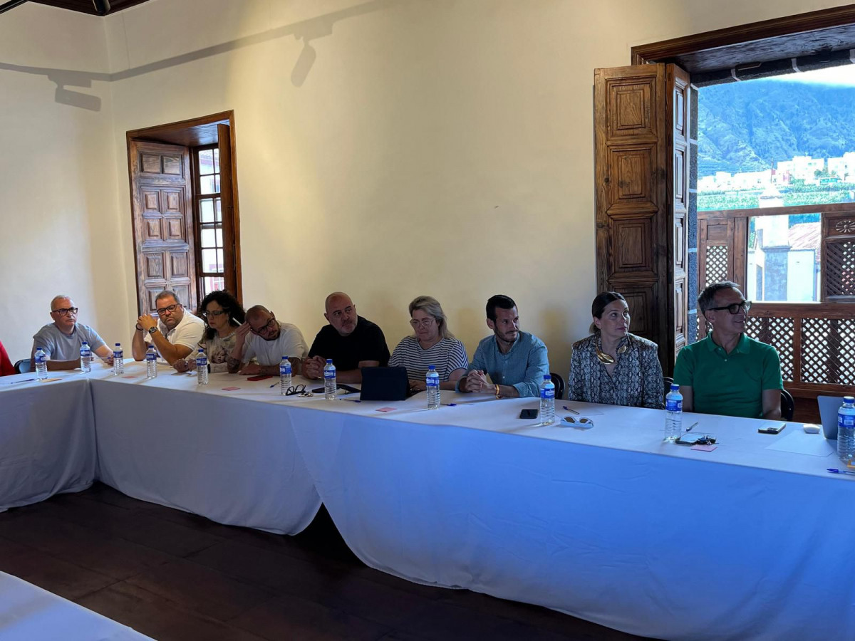 Marca Los Llanos de Aridane Diario palmero 