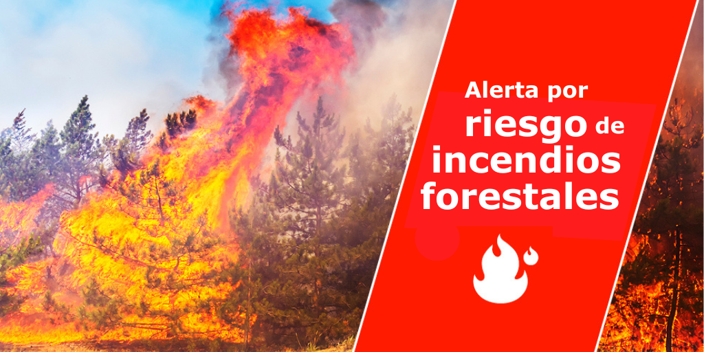 Alerta por riesgo de incendio forestal Diario Palmero 