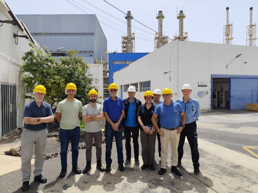 Endesa Diario Palmero 