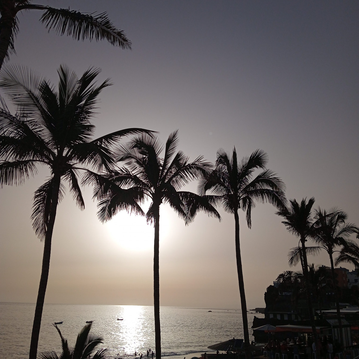 Atardecer Diario Palmero