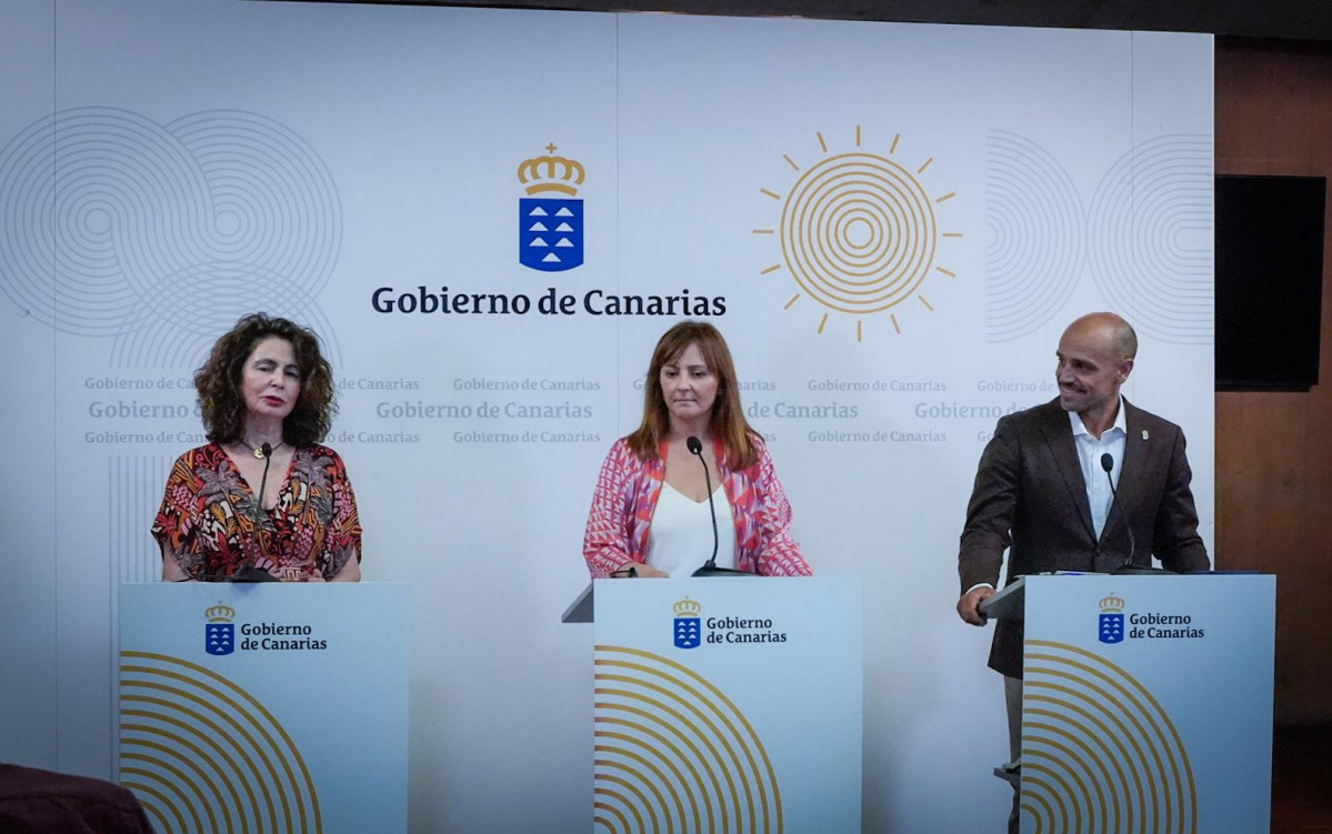 Gobierno Diario Palmero 