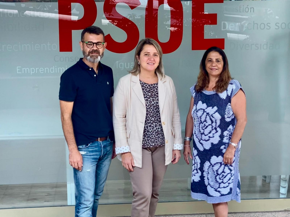 PSOE Los Llanos Diario Palmero 
