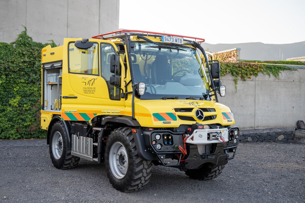 camion Diario Palmero 