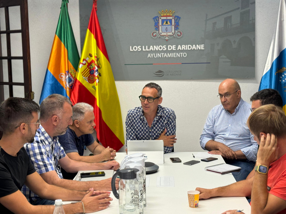 Reunion Los Llanos Diario Palmero 