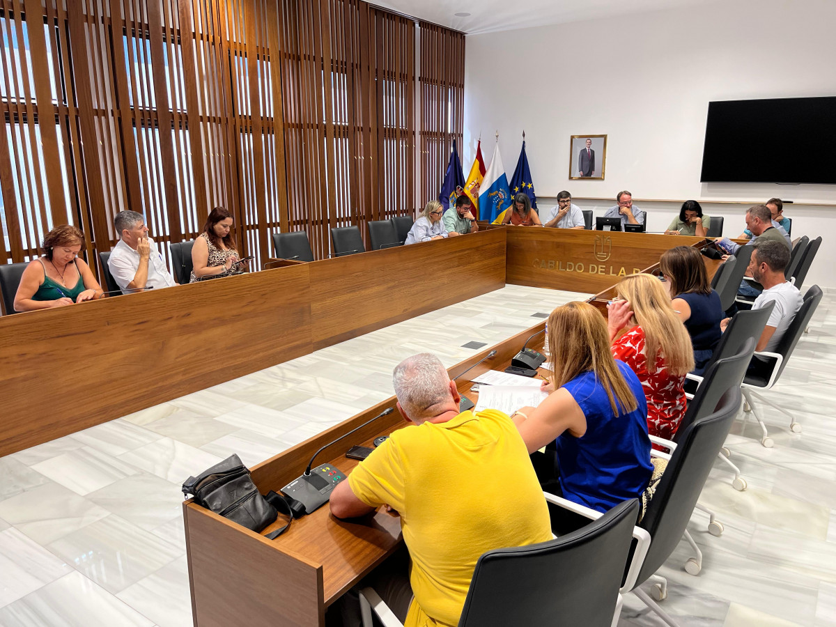 Protocolo emergencias Diario Palmero 