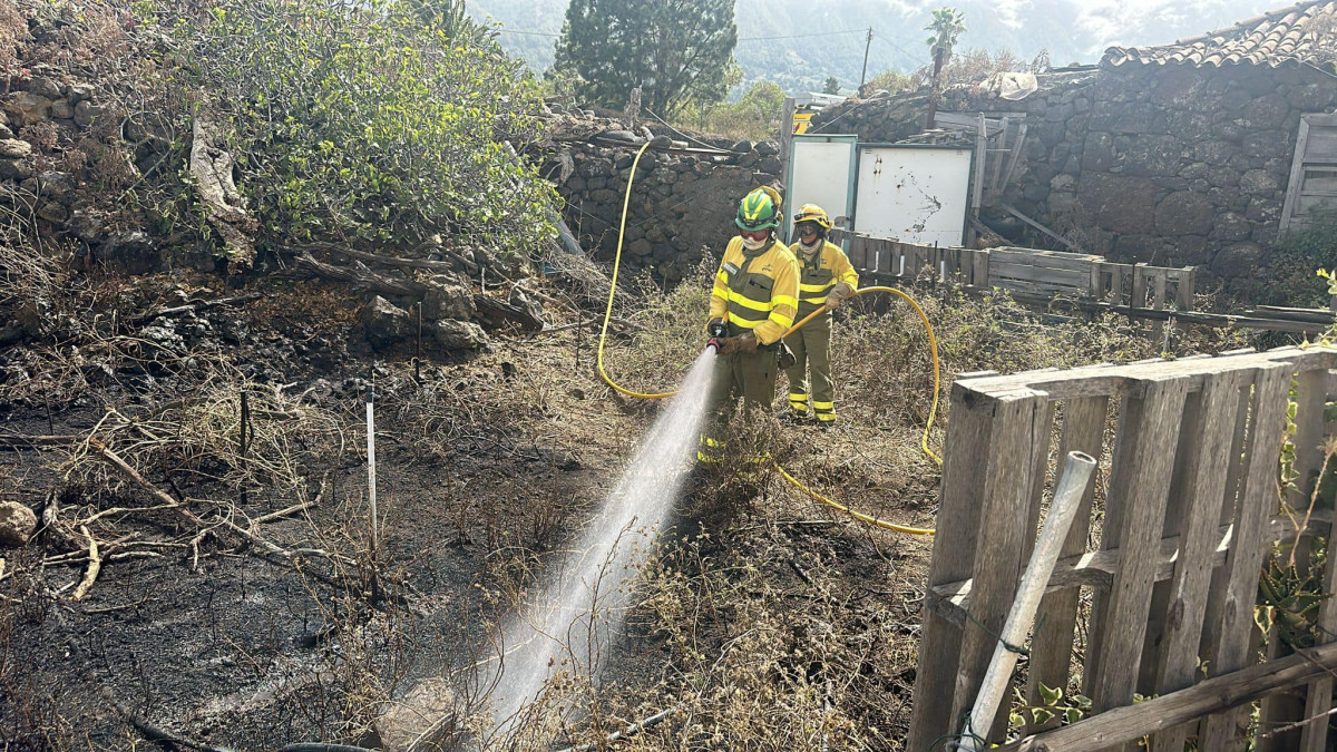 Medio Ambiente Incendios Diario Palmero 