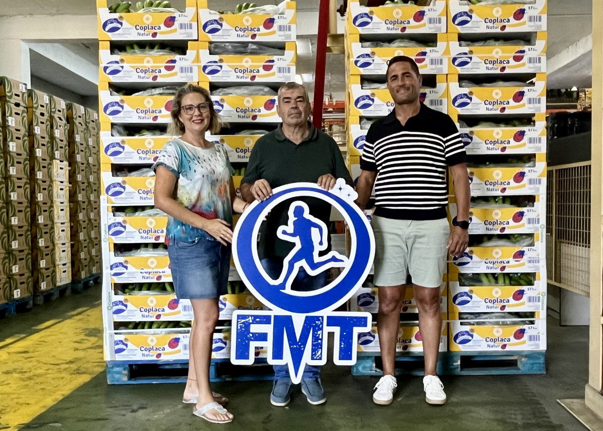 FMT Diario Palmero 